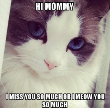 I miss you cute meme 2025