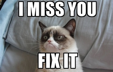 Miss you cat meme 2025