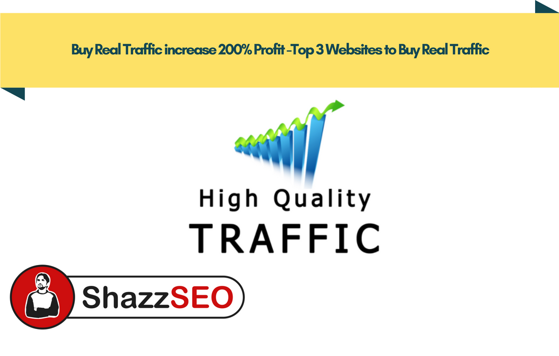 Buy Real Traffic increase 200% Profit -Top 3 Websites to Buy Real Traffic