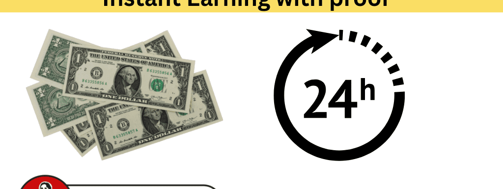 How i have Earned 170$ within 24 Hours – Instant Earning with proof
